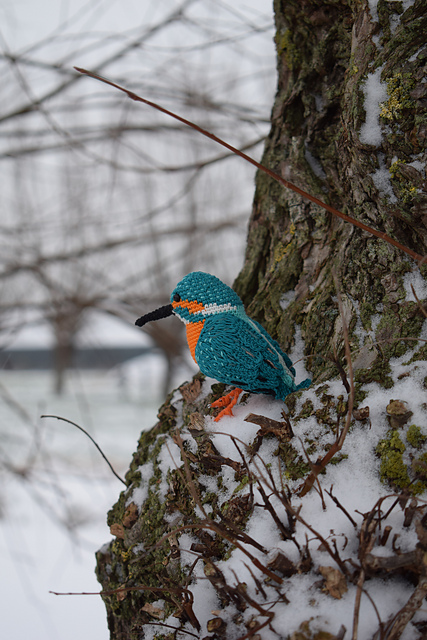 Kingfisher | IJsvogel