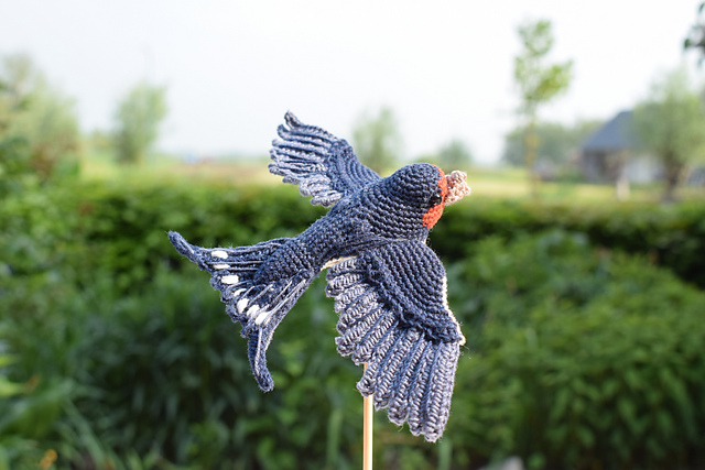 Swallow | Zwaluw