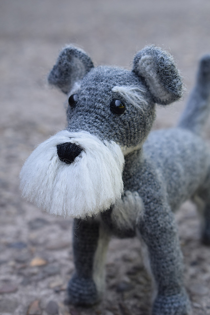 Schnauzer