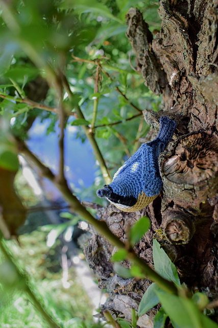 Nuthatch | Boomklever