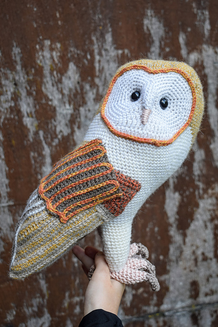 Barn owl CAL | Kerkuil CAL
