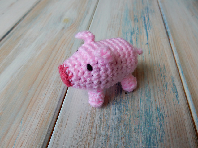 Mini Pig