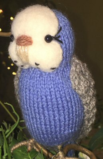 Budgie