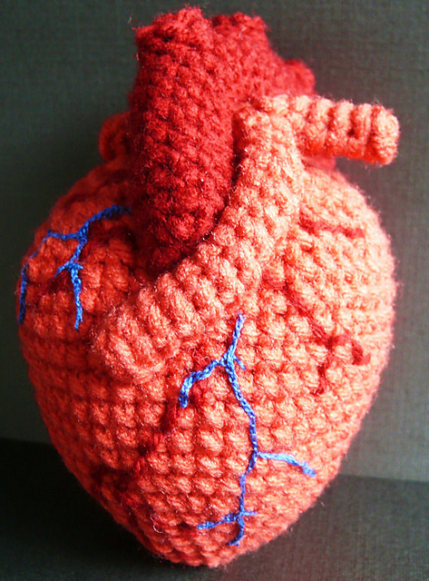 Anatomical Human Heart