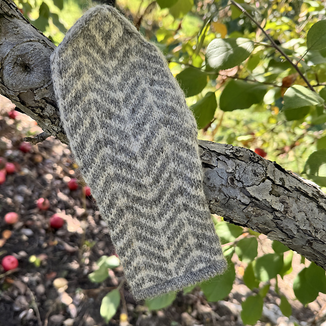South Facing Mittens