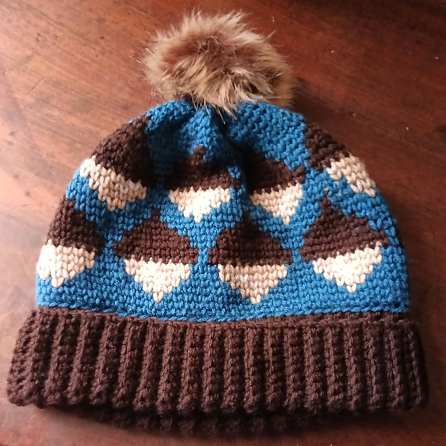 Acorn Colourwork Beanie