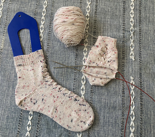 Homeward Bound Socks