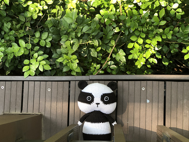 TuKi the Panda