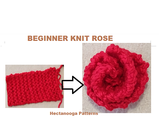 ROSE flower