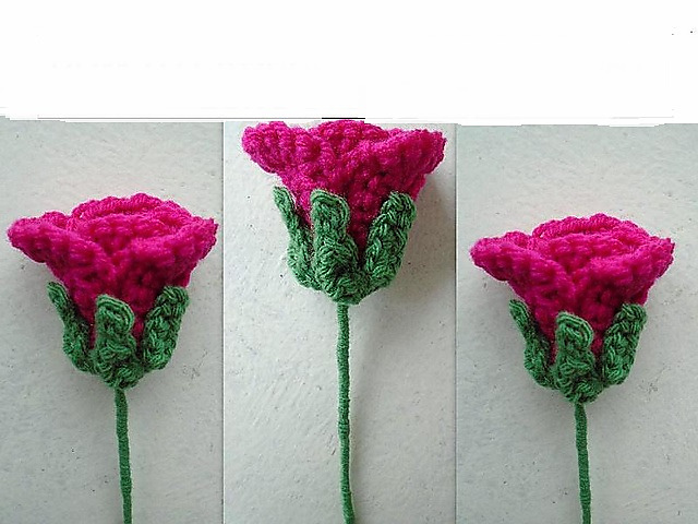 LONG STEM ROSE FLOWER