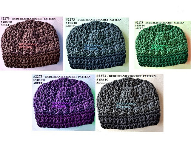 2273- DUDE beanie