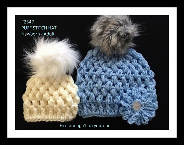 2647- Puff Stitch Hat