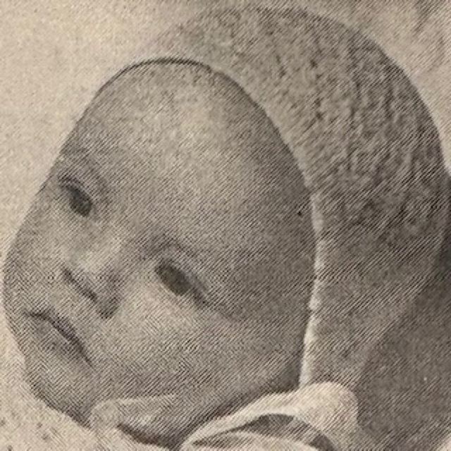Lois - Bonnet
