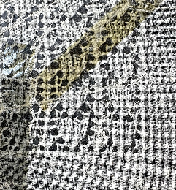 Lacy Shawl