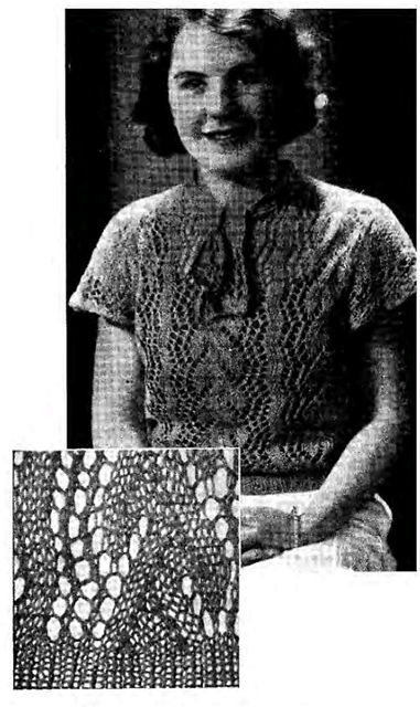 Lacy Jumper with Cape Sleeves