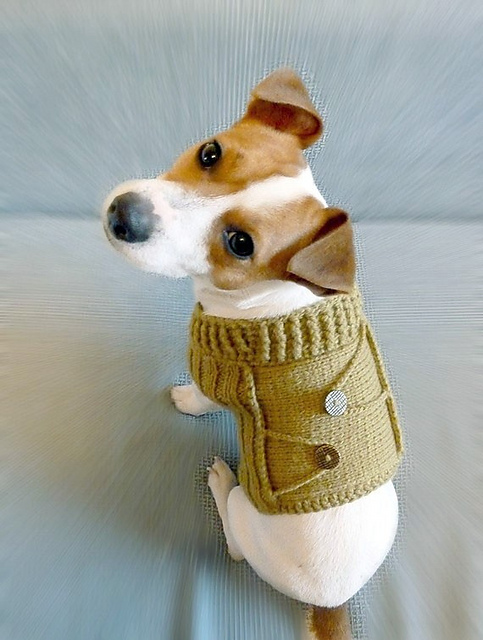 Dog Sweater