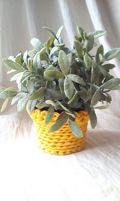 Yellow planter basket