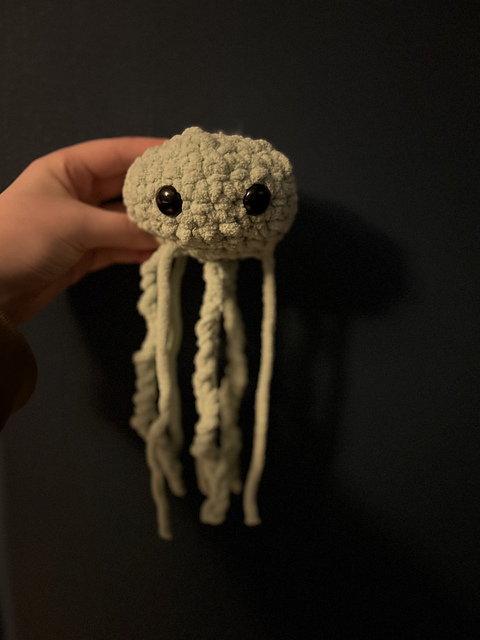 Jelly fish