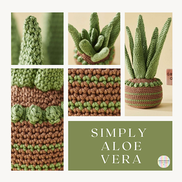 Aloe Vera Plant