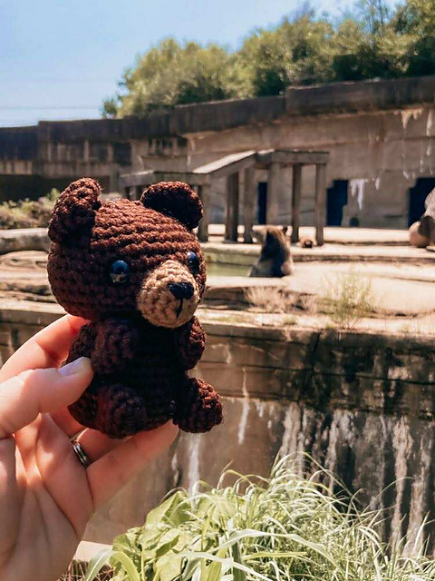 Bear Buddy