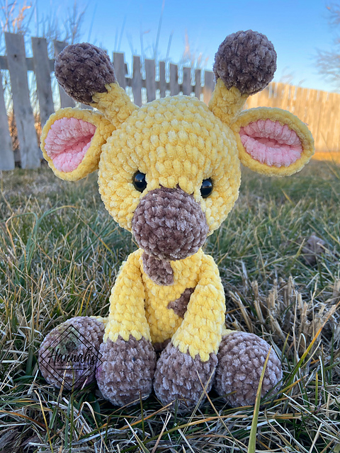Baby Giraffe