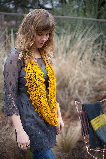 Desert Marigold