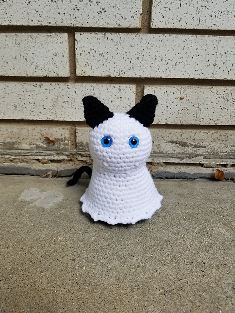 Salem the Ghost Cat