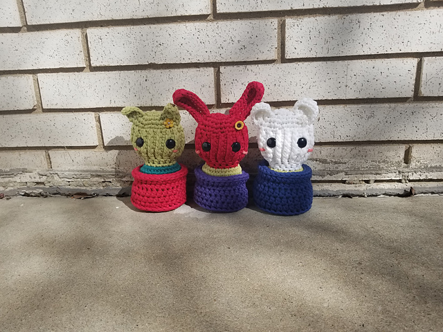 Cactus Crew