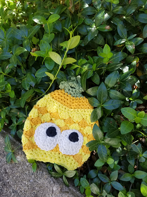 Pineapple Puppet Scrubber