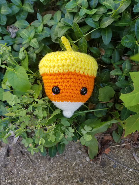 Candy Acorn