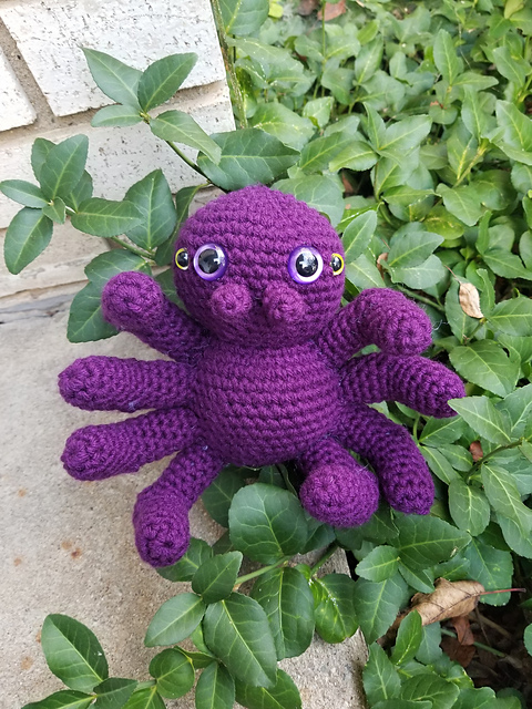 Suzie Spider