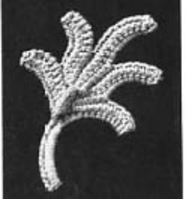 Fourth leaf, fig.38