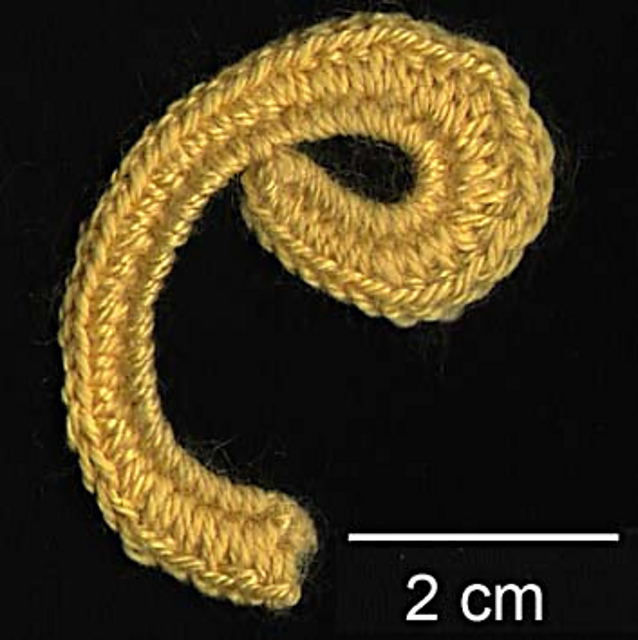 First tendril