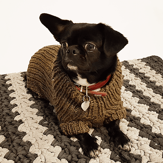 Flemming Dog Sweater