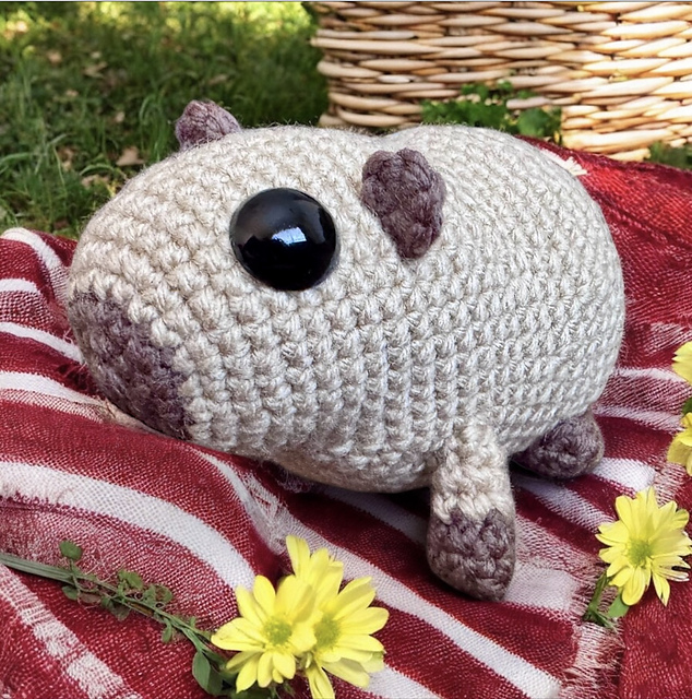 Capybara