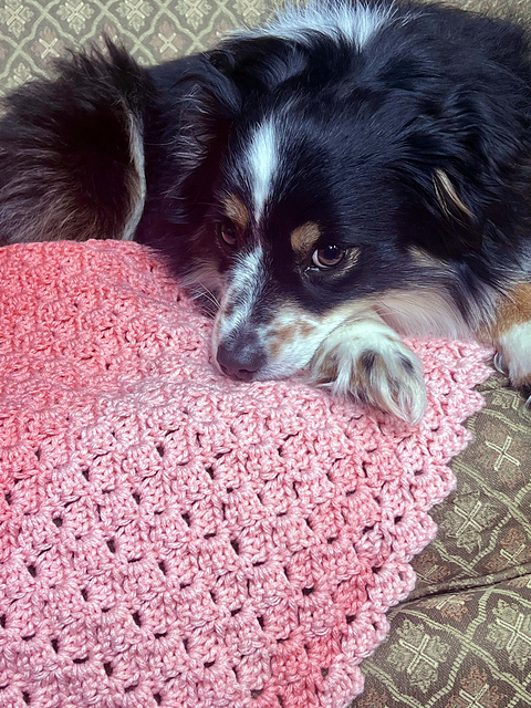 Fuzzy Buddy Blankie