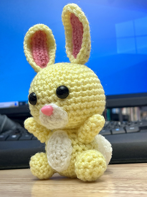 Rabbit