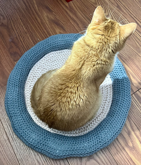Cozy Catnap Bed