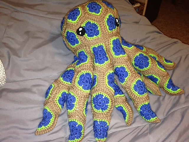 African Flower Octopus