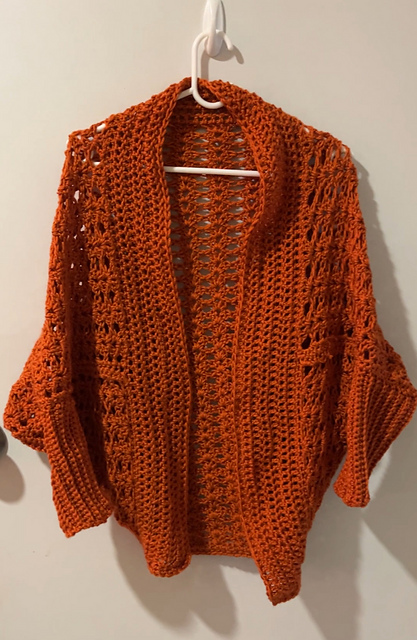 Wren in Autumn Cocoon Cardigan
