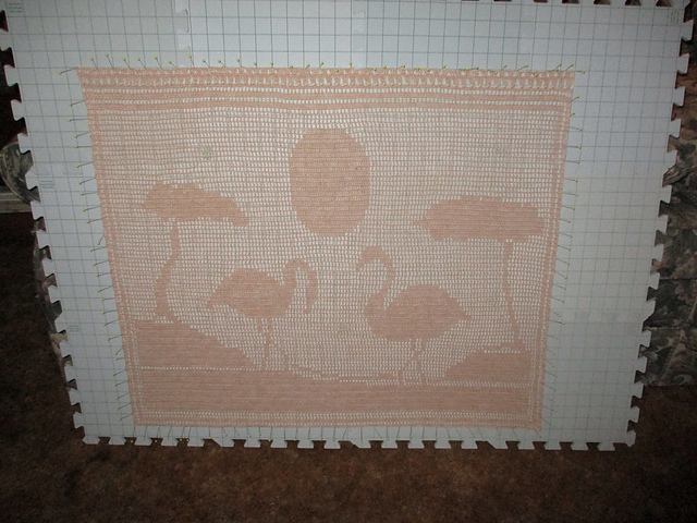 Flamingos