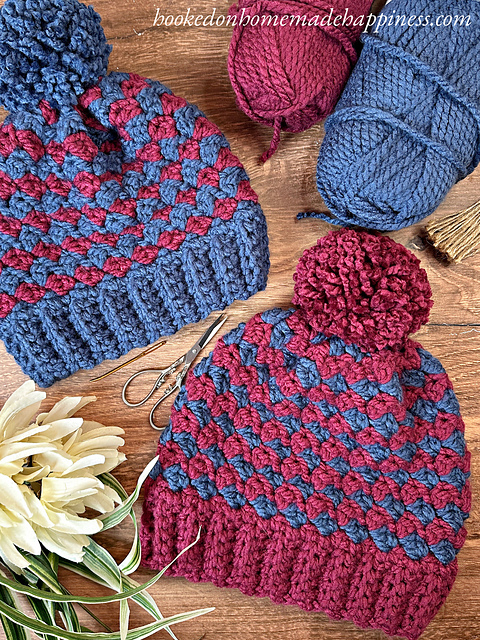 Chunky Suzette Stitch Beanie