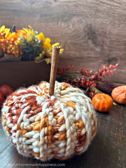 Easy Ribbed Pumpkin