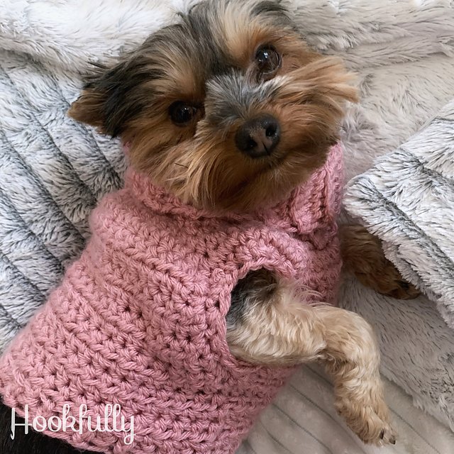 Minnie’s turtleneck dog sweater