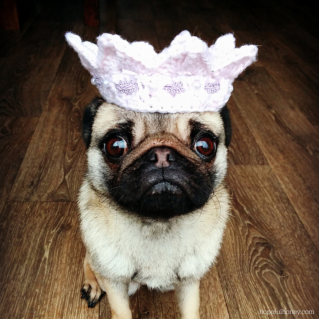 Pretty Puppy Crown