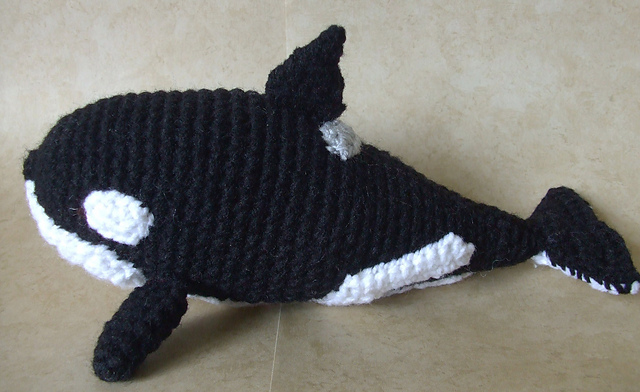 Orca/Killer Whale