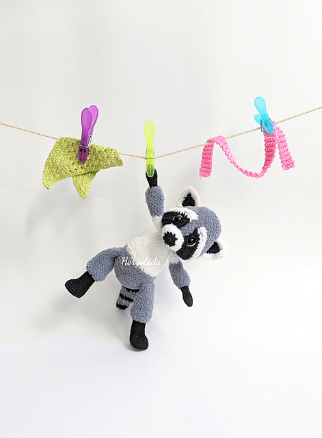 Bandit the Raccoon
