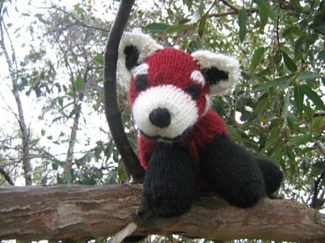 Roly-Poly Red Panda