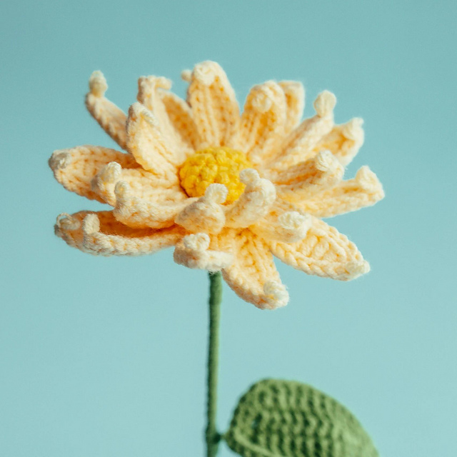 Double Layer Daisy Flower