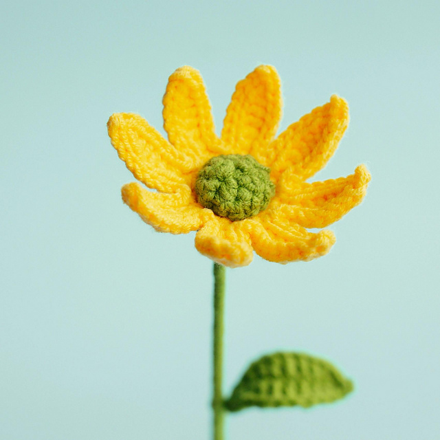 Wild Daisy Flower Bouquet